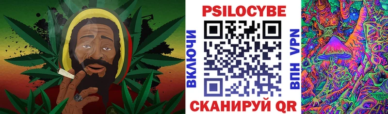 Псилоцибиновые грибы мицелий Бокситогорск
